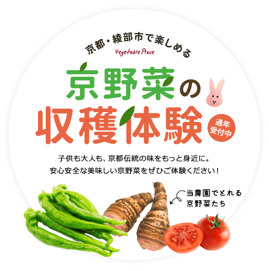 京都・綾部市で楽しめる京野菜の収穫体験